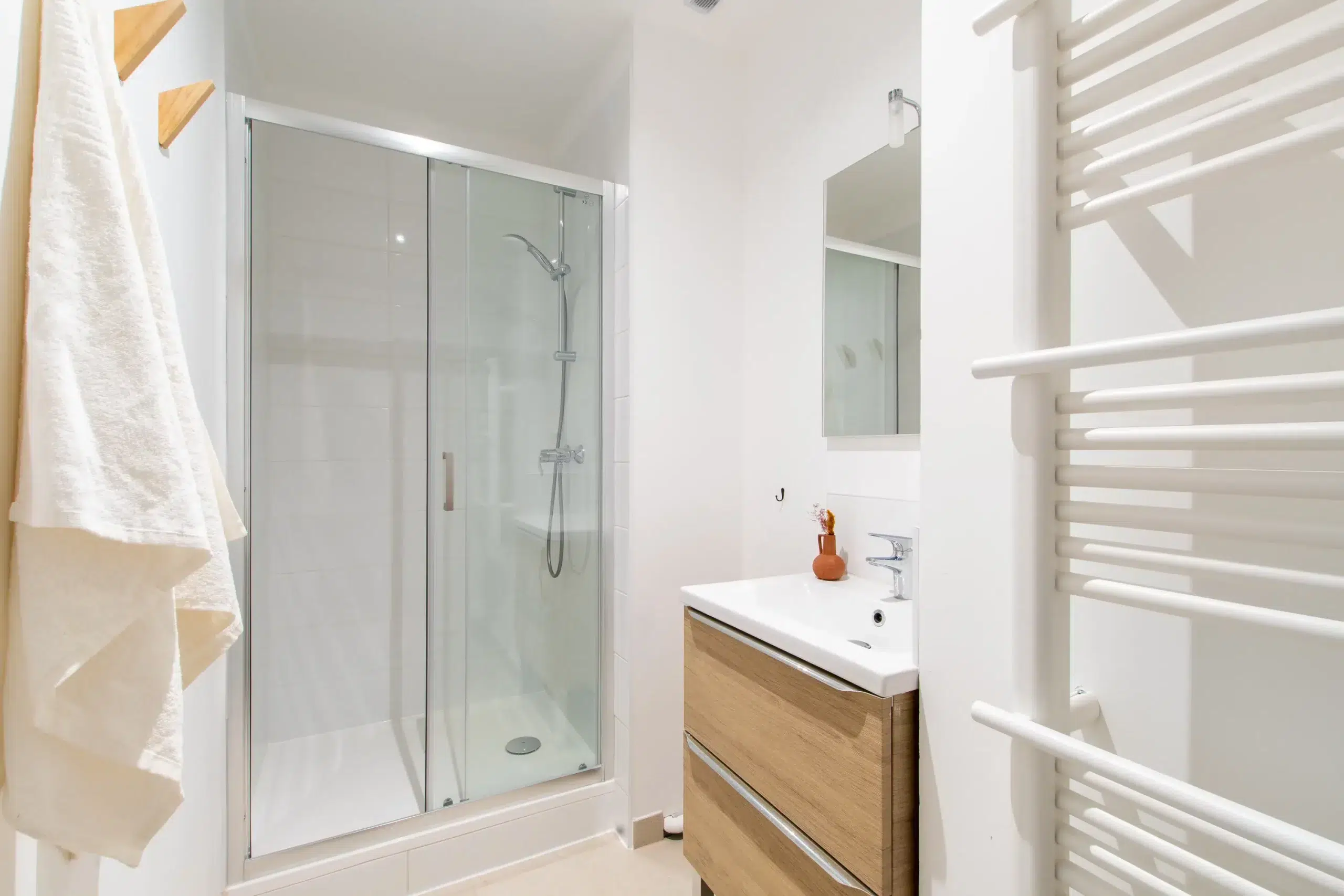 colocation-montpellier-brousse-salledebain2