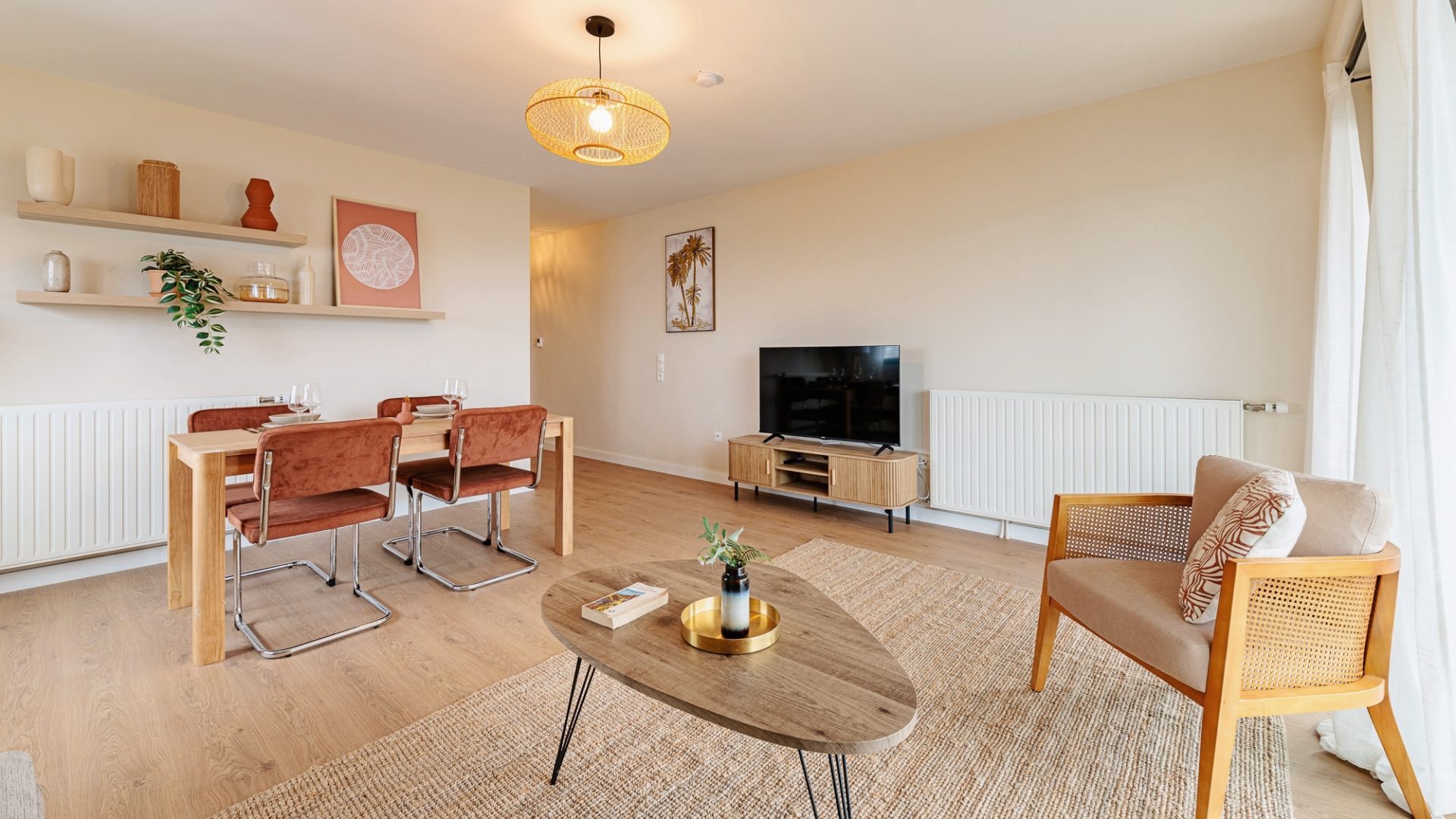 coliving-colocation-nantes-vue-salon