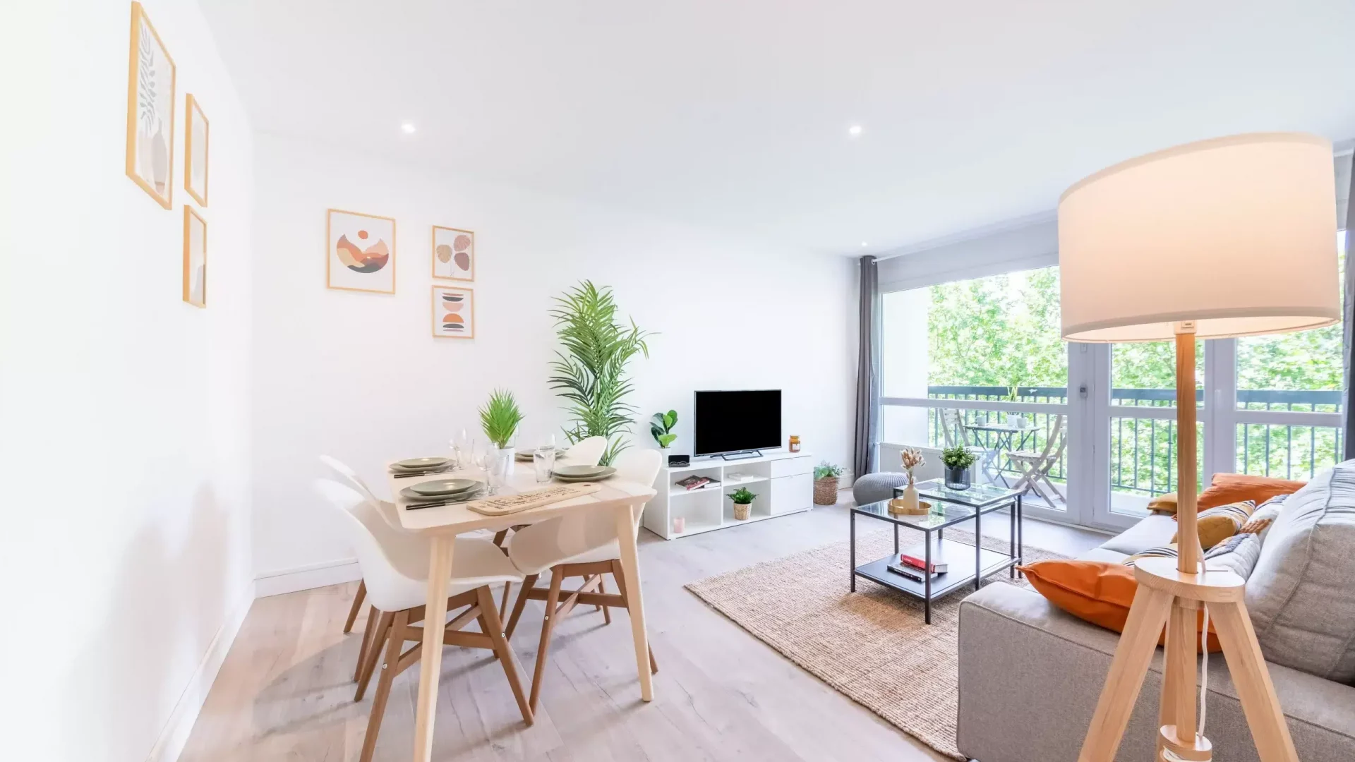 Salon à partager en coliving à Lyon