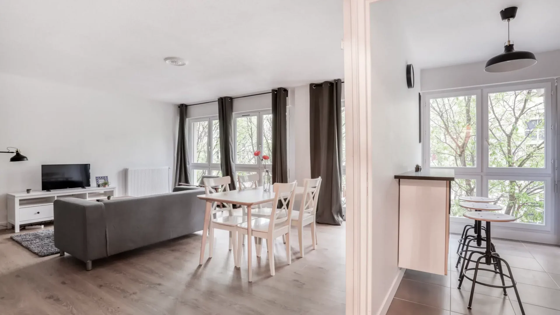 colocation-montpellier-athenes-salon