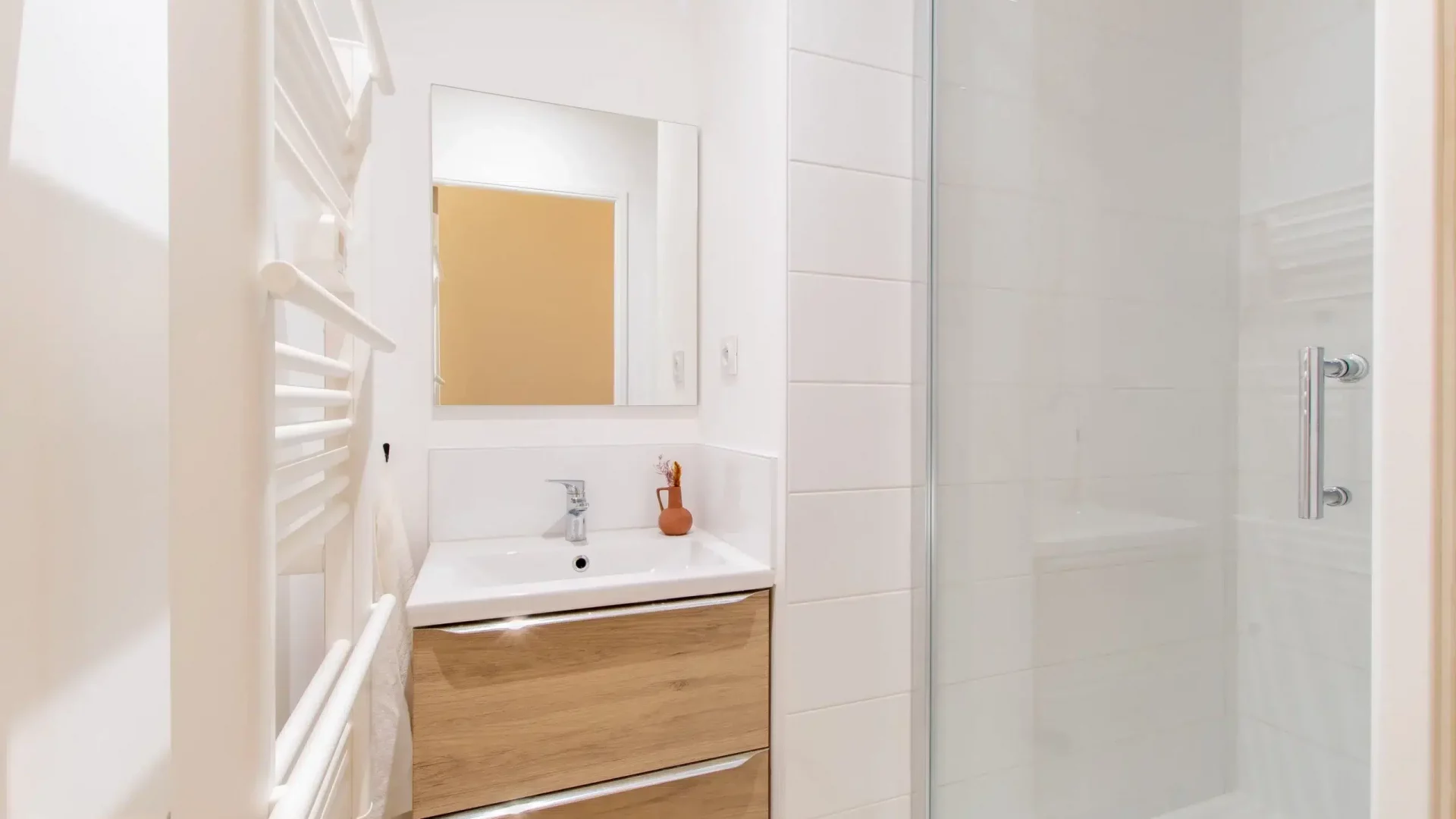 colocation-montpellier-brousse-salledebain1