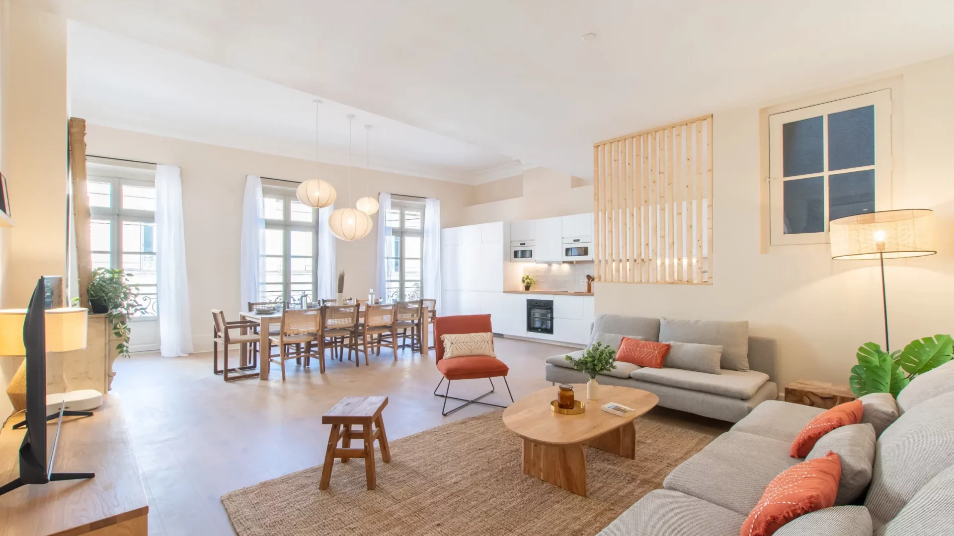 colocation-montpellier-brousse-salon (2)