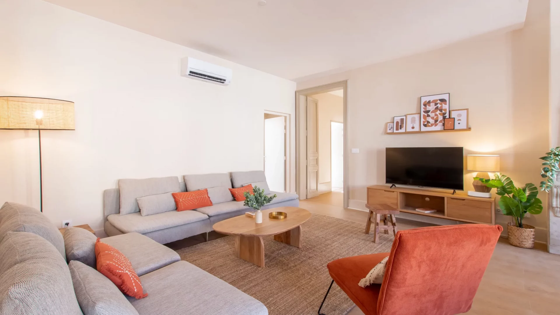 colocation-montpellier-brousse-salon