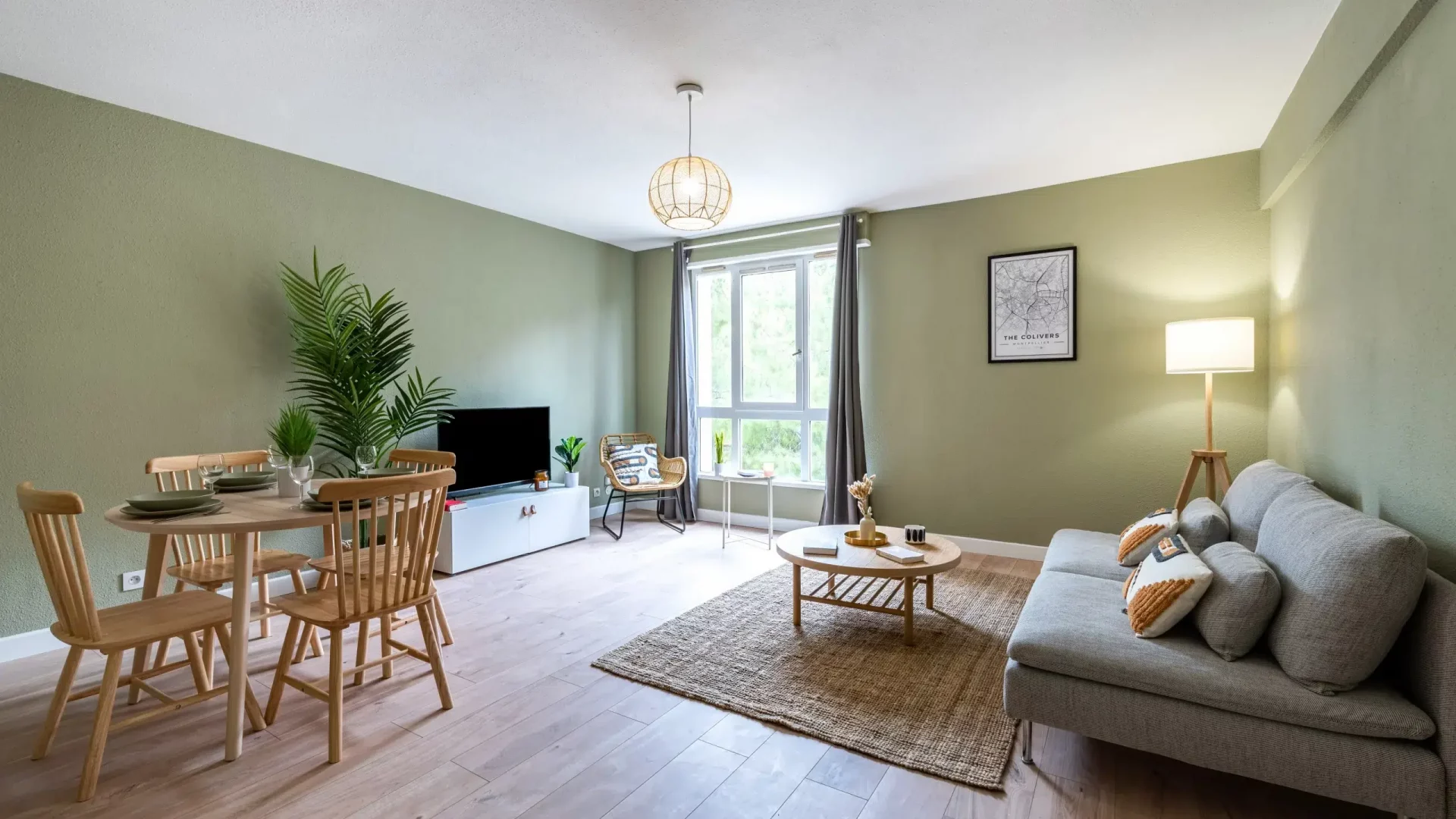 colocation-montpellier-millenaire2-salon