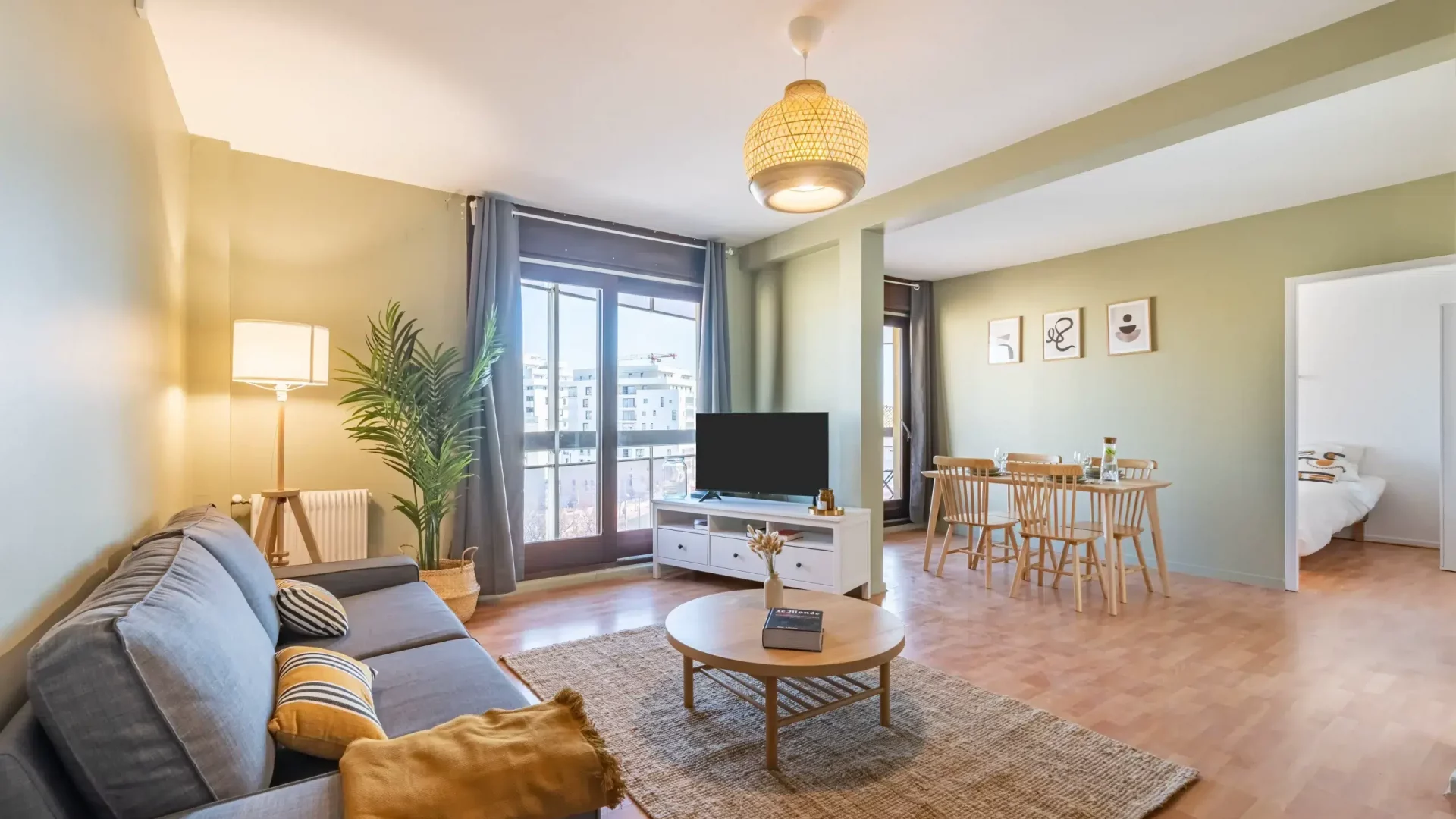 colocation-montpellier-rondelet-salonvue