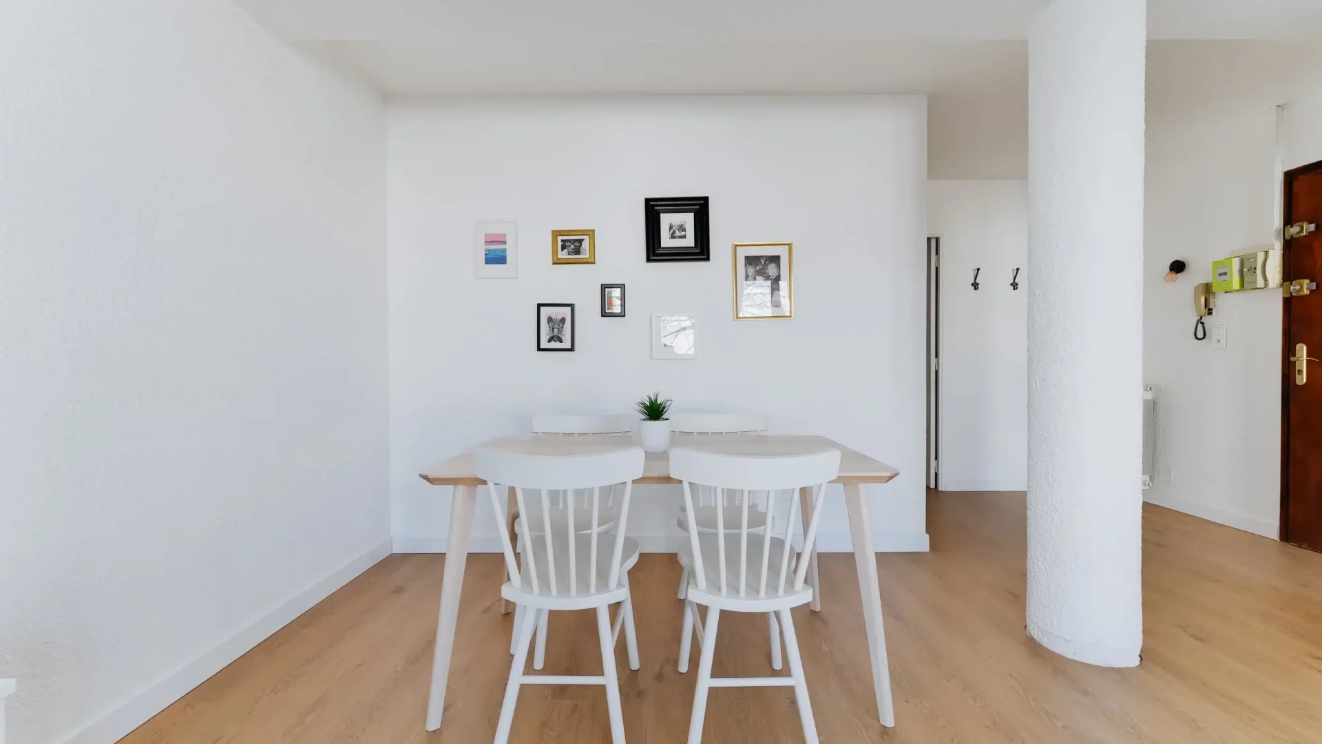 colocation-montpellier-strasbourg-salleamanger